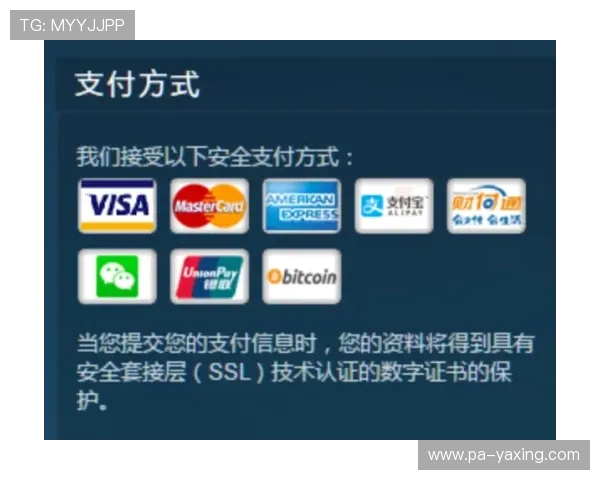 亚星娱乐数字站如何助力玩家提升游戏体验与获取最新优惠活动详尽指南